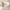 Lumi-Knit Midweight Full Zip Ivory