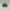 Jordan Pro Structured Dri-FIT Flat-Brim Golf Hat Forest Green/Sail