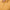 The Zinna 2.0 Polo Spruce Yellow