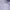 NK Tour DF Dress Oxygen Purple/Ashen Slate/White