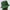 Jordan Apex Bucket Hat Forest Green/Sail