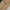 Canterbury Sweater Polo Shirt Green