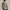 RLX Tech Waffle Hoodie Regent Heather