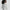 Rasco Namesake Sweat White/Forest