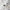 Cotton/Linen Five Pocket Pants Gauze White