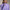 RLX Performance Quarter Zip Pure Lilac