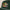 x Santa Cruz Rope Hat Malbon Green