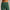 Lux Leggings Pritchard Green