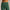 Womens Lux Leggings Pritchard Green