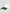 Contrast Sport Cap White/Green