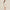 Womens Camilla Quarter Zip Polo Ivory