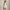 RLX SL Jenna Solid Dress Ceramic White