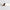 Womens Elisa Belt White