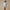 Tulip Lounge Shorts Periwinkle