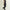 Asti Trousers Black