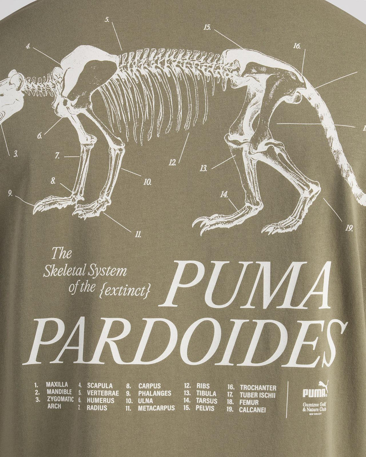 x GGNC Pardoides Tee Dark Sage