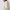 Womens Zilly Hybrid Knit Jacket Eggshell