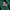 All-Weather Pullover Green