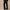 Tulip Lounge Pants Black