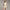 Womens DreamGlow Shorts Lemon Mist