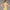 Womens Revive Longline Bra Yellow Dawn