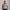 RLX Tailored Fit Performance Pique Stripe Polo Estate Blue