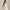 RLX SL Jenna Solid Dress Ceramic White