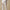 Womens Tulip Lounge Pants Cream Debossed Crane