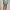 Womens RLX 15 Inch Eyelet Interlock Skort Haven Green