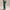 Lux Leggings Pritchard Green