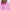 Feeder Stripe High Gauge Jersey Polo Knockout Pink