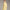 Womens Course to Court Quarter Zip Yellow Dawn