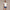 Womens Legacy Skirt Open Ocean
