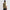 Insulated Course Vest Dark Olive