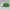 Jordan Pro Structured Dri-FIT Flat-Brim Golf Hat Forest Green/Sail