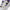 Air Max 1 '86 OG Golf Shoes Neutral Gray/Black/White/Purple Punch