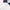 Regular Fit Stretch Cotton Pique Contrast Collar Polo White