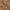 Theo Sweater Polo Tan