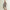 Womens Fait Tout Hooded Jacket Vest Cobblestone