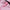 Womens Coolwool Full Zip Pink/Print