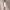 Womens RLX 15 Inch Performance Skort Ceramic White