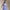 RLX Airflow SL Polo Resort Blue