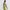 RLX Womens Full Zip Quilted Hybrid Vest Light Lime