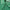 Chrissie SL Polo Field Green/White