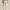 Performance Birdseye Pants Basic Sand