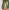 Womens Baseline Skirt Olivine