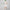Womens Quarter Zip Polo Dress White/Sport Green