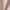 Womens DreamGlow Short Sleeve Sweat Sand