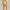 Womens RLX 15 Inch Pleated Skort Corn Yellow