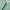 Vista Stripe Lightweight Zip Sun Shirt Field Green/White